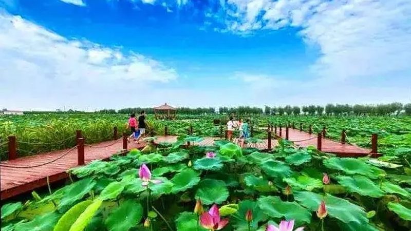社区生鲜配送小程序：农业新零售的智慧桥梁
