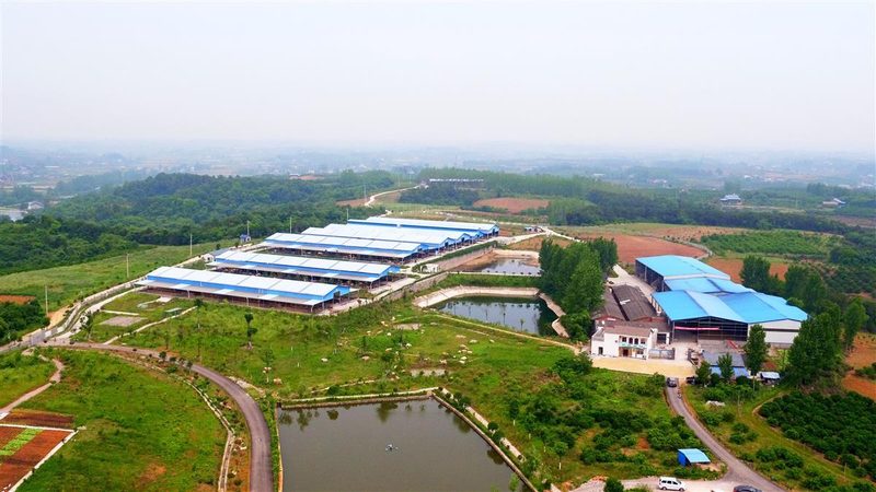 果蔬配送批发市场运费标准解析