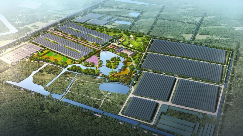农业产业园运营管理手册：构建高效农业生态系统的关键**