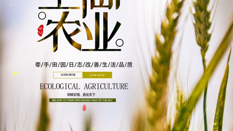 广东农产品出口报关代理