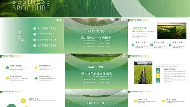 四川养殖专业合作社饲料价格：如何理性选择？**
